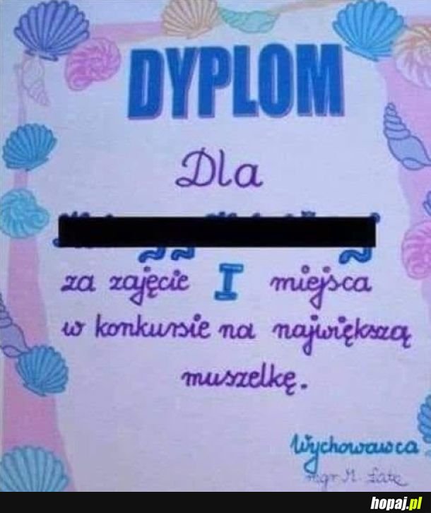 Muszelka