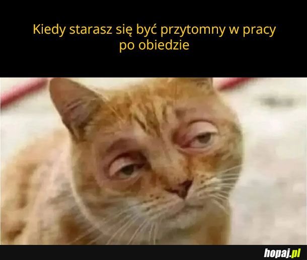 Nie da się