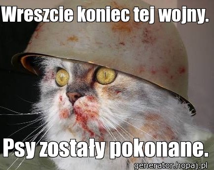 Wreszcie koniec tej wojny.