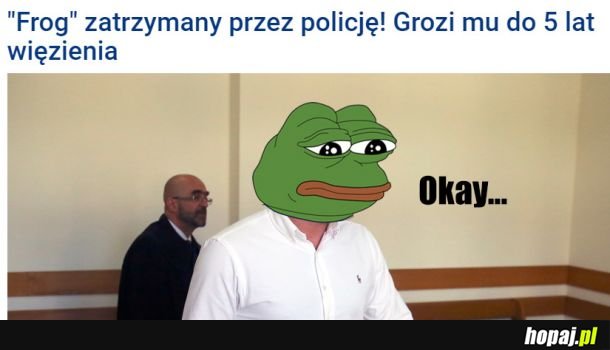 &quot;Frog&quot; ujęty przez policję