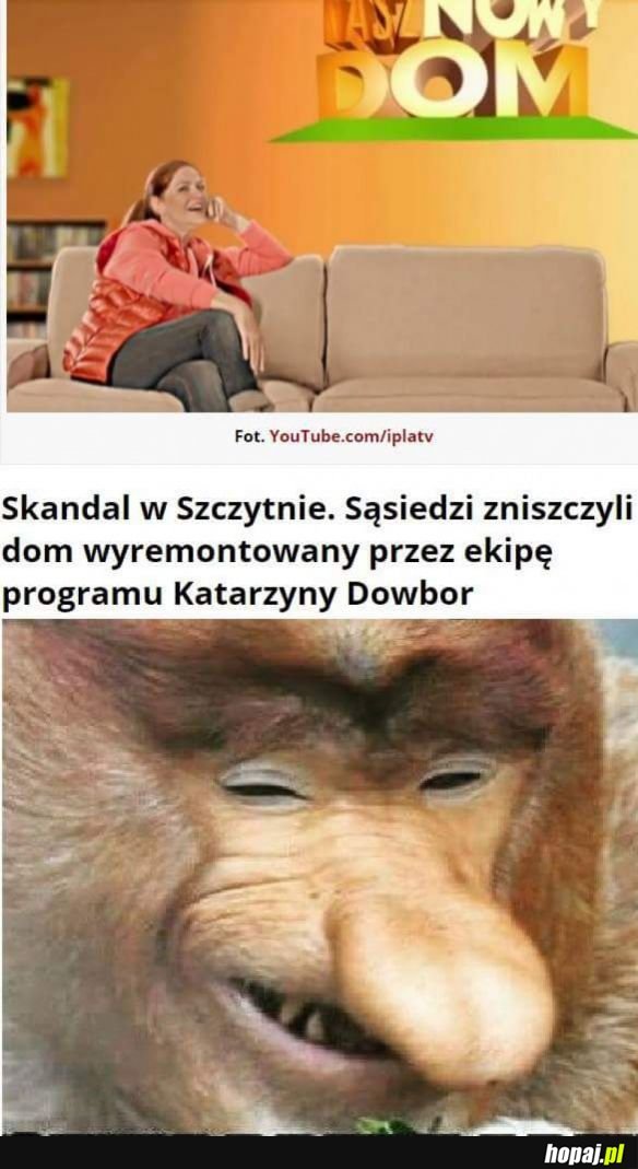 SOMSIAD ZE SZCZYTNA