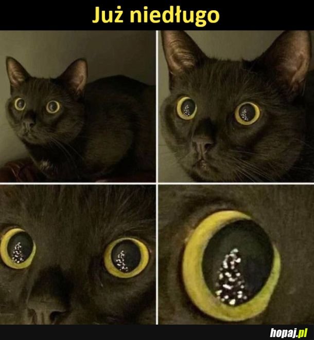 Już niedługo