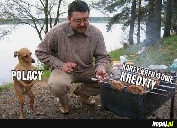 Polacy 