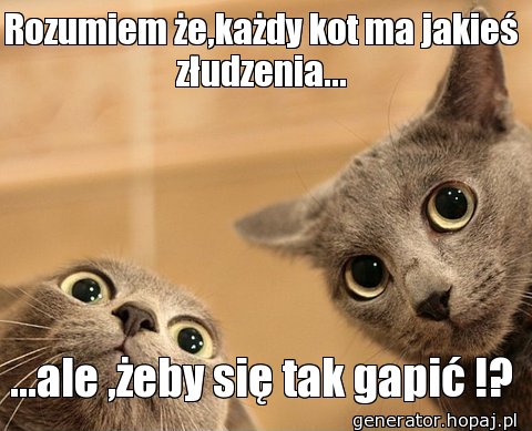 Rozumiem że,każdy kot ma jakieś złudzenia...