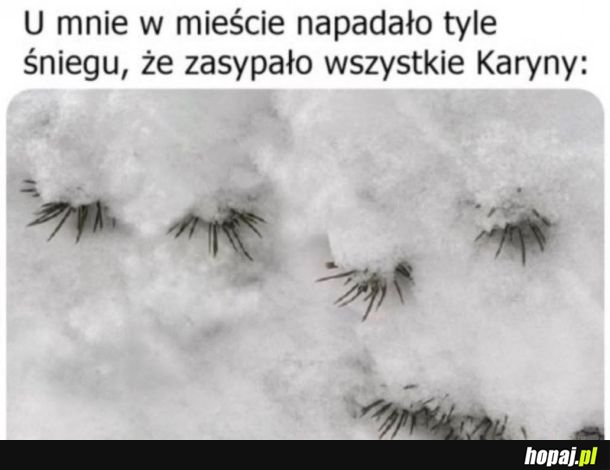 I znowu Karyny pod śniegiem