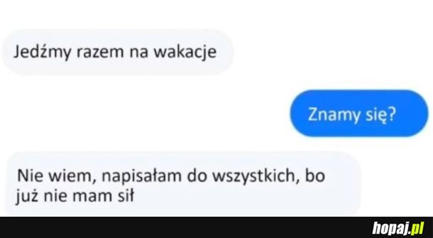 Jedźmy razem na wakacje