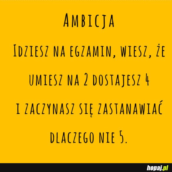 AMBICJA