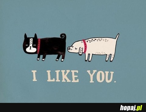 I like you!