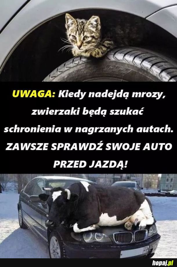 Pamiętajcie!