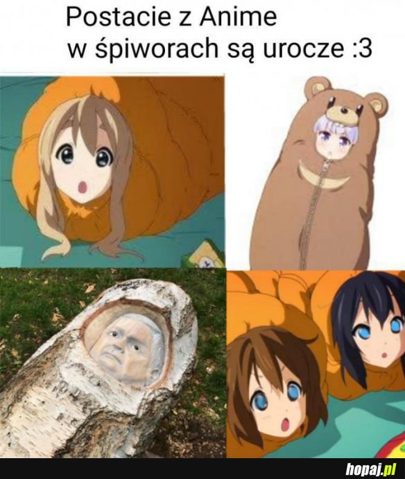 Uwielbiam je