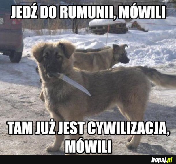 JEDŹ DO RUMUNII