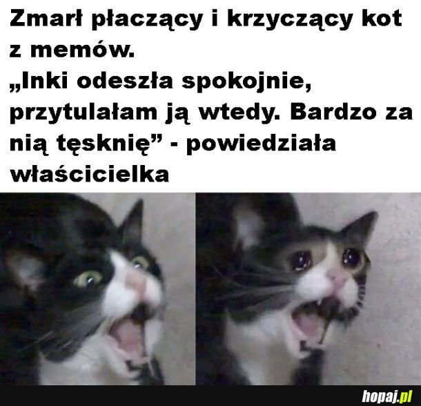 Odeszła legenda