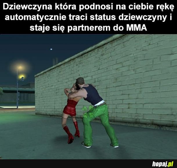 Partner MMA