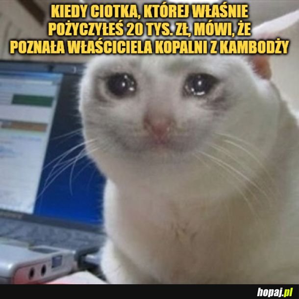 Już ich nie zobaczysz. 