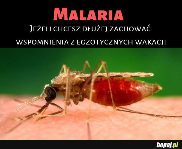 Malaria