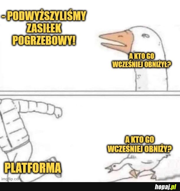 No właśnie.