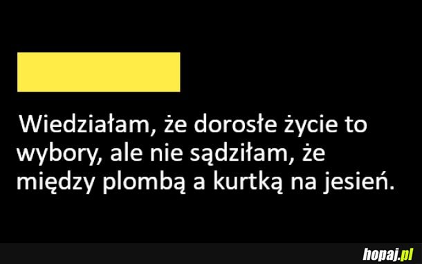 Wybory