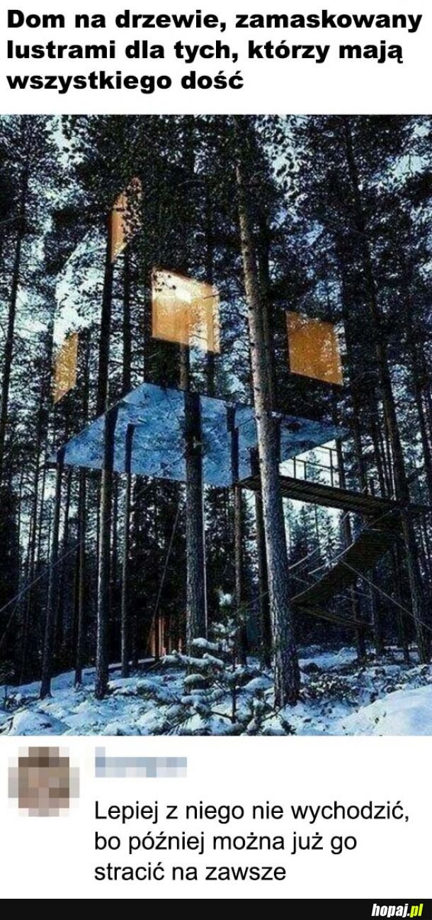Dom w lesie 