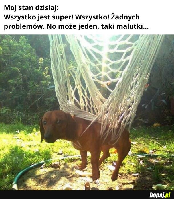 Utkłem. Pomusz.