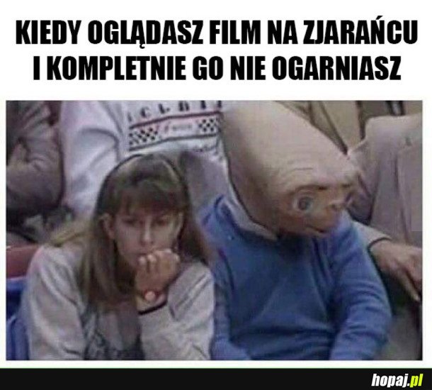 OGLĄDANIE FILMU NA FAZIE