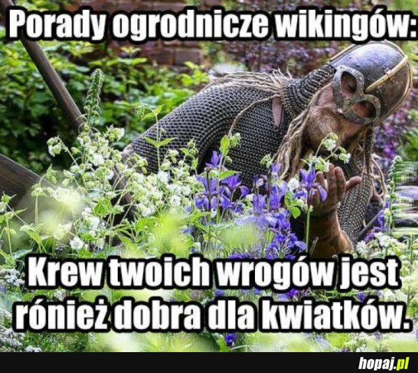 PORADY OGRODNICZE WIKINGÓW