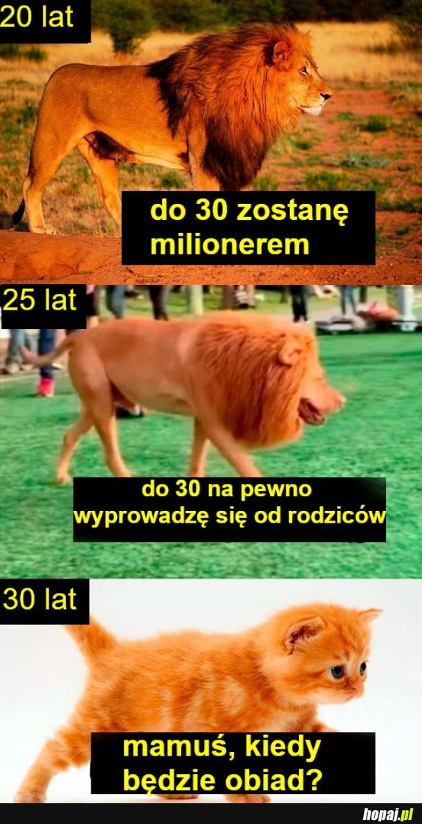 Oczekiwania vs rzeczywistość