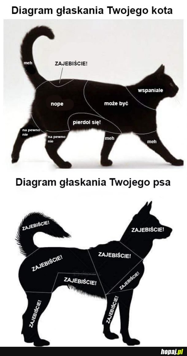 Głaskanko