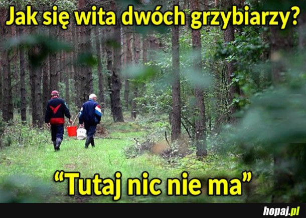 PRZYWITANIE GRZYBIARZY