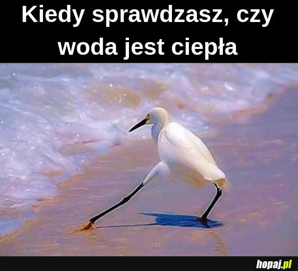  Woda