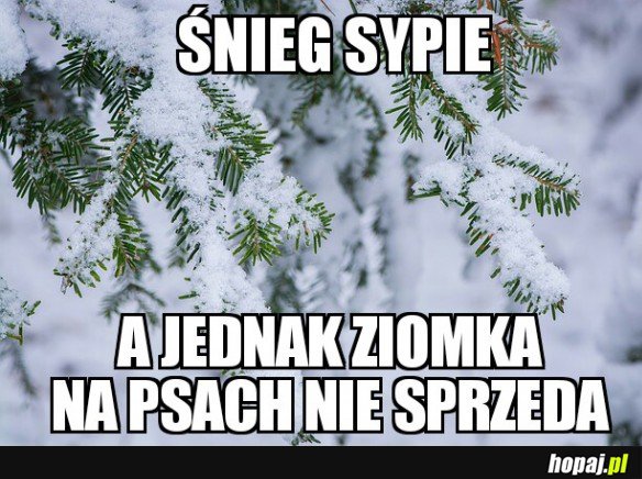 ŚNIEG