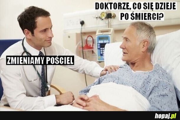 Odpowiedź na odwieczne pytanie ludzkości