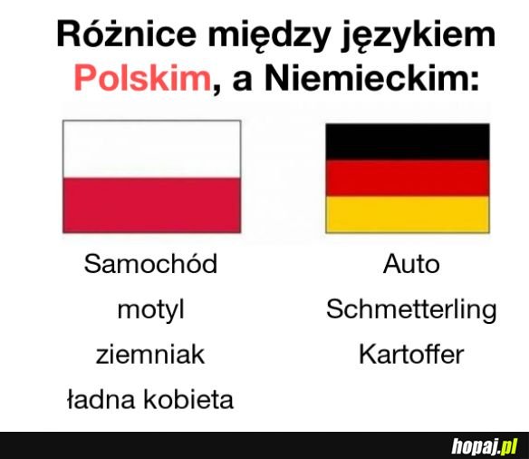 Różnice między polskim a niemieckim