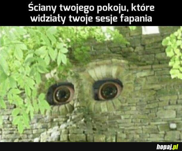 Nic tylko współczuć