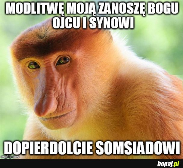 MODLITWA POLAKA