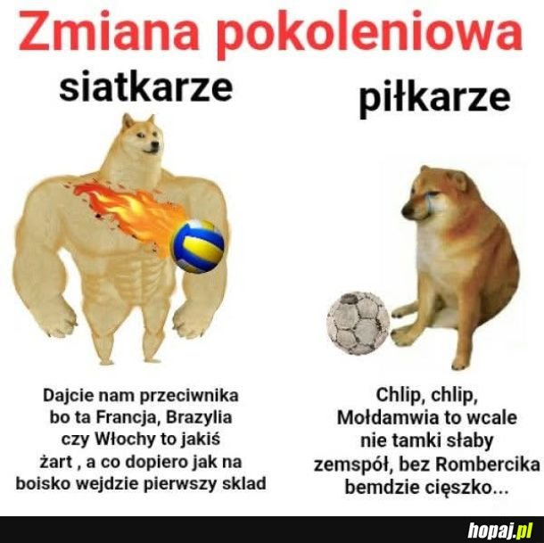 Zawodowcy vs łachmyty