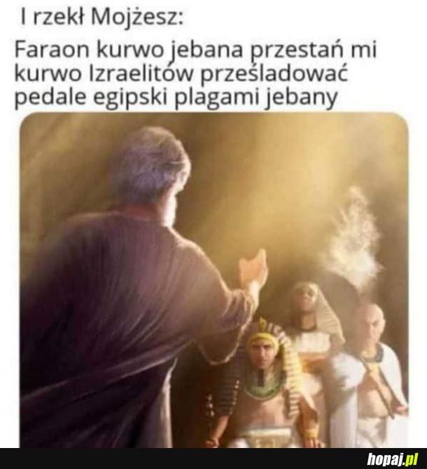 Plagi egipski