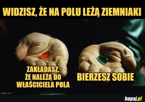 Ziemniaki.
