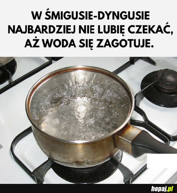 MOKREGO DYNGUSA