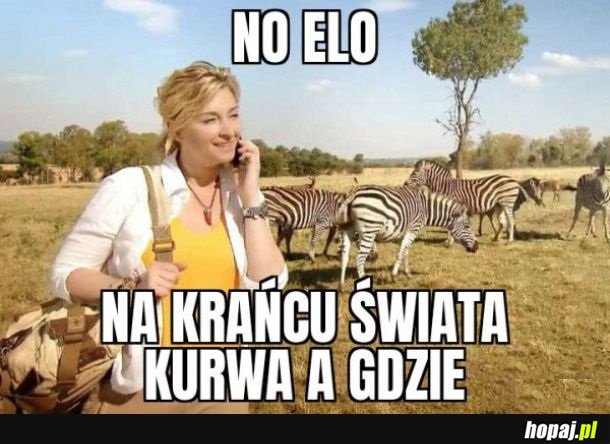 No elo