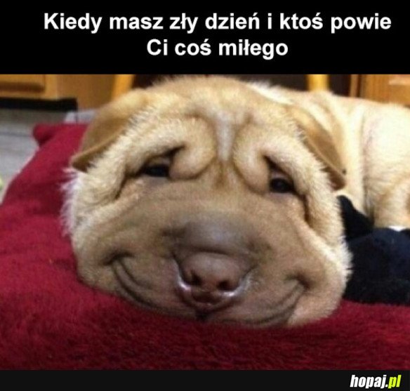 NA POPRAWIENIE HUMORU