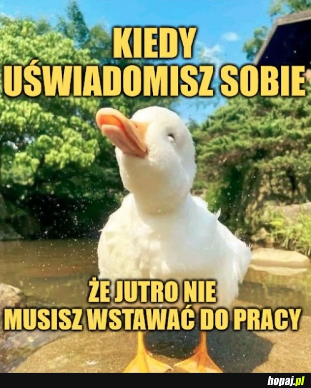 Szczęście. 