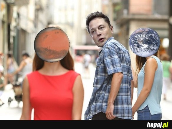 TYPOWY ELON MUSK