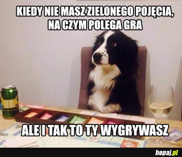 Za każdym razem
