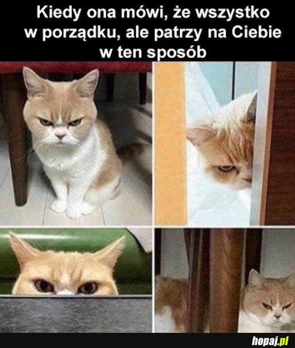 KOBIETY TAKIE SĄ