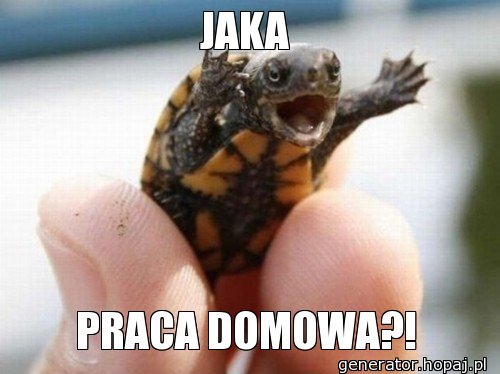 Jaka praca domowa?!