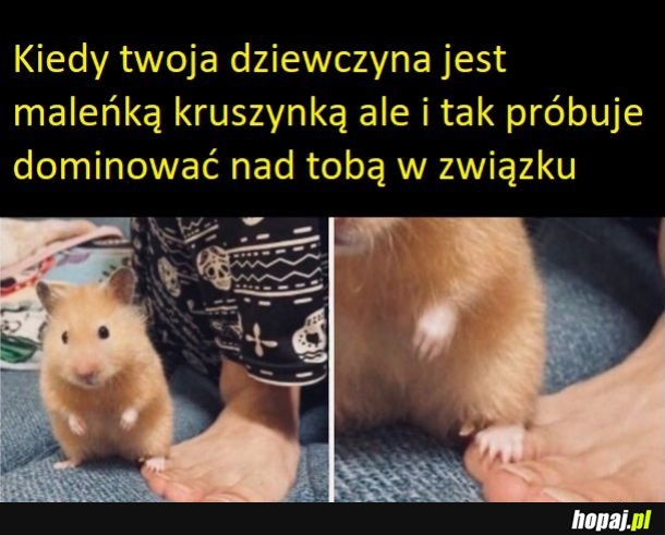 Ja postawiam na swoim! ʕ •ᴥ•ʔ