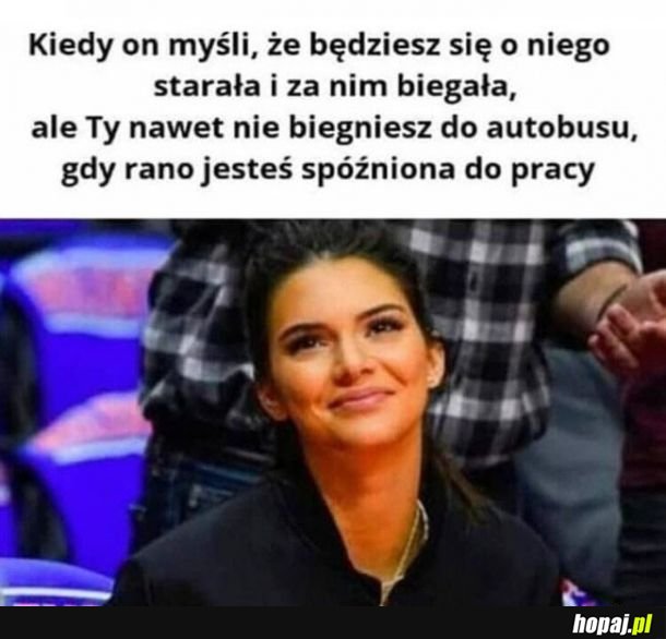 Logika lasek