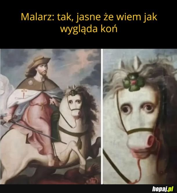 Kuń