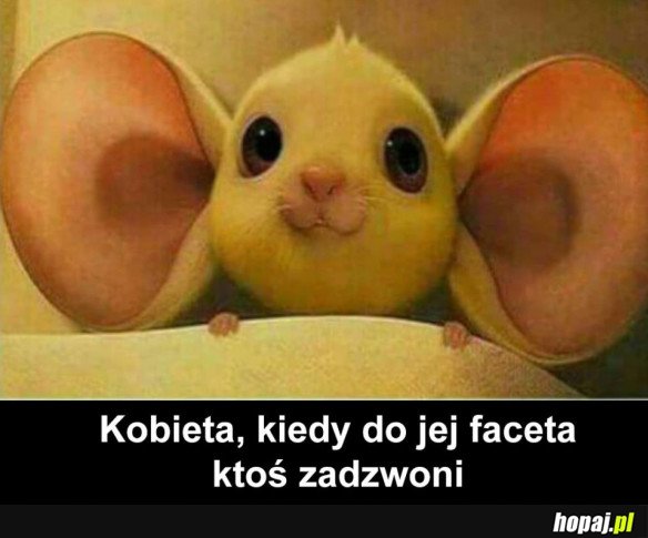 KOBIETY TAKIE SĄ