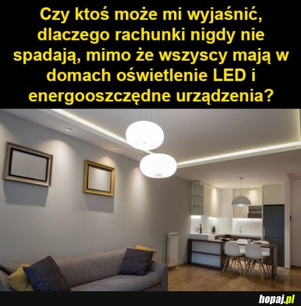 No właśnie, dlaczego?